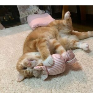キャンディキッカー　猫のおもちゃ
