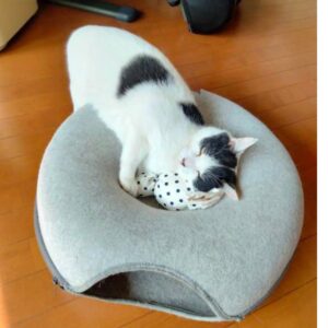 キャンディキッカー　猫のおもちゃ