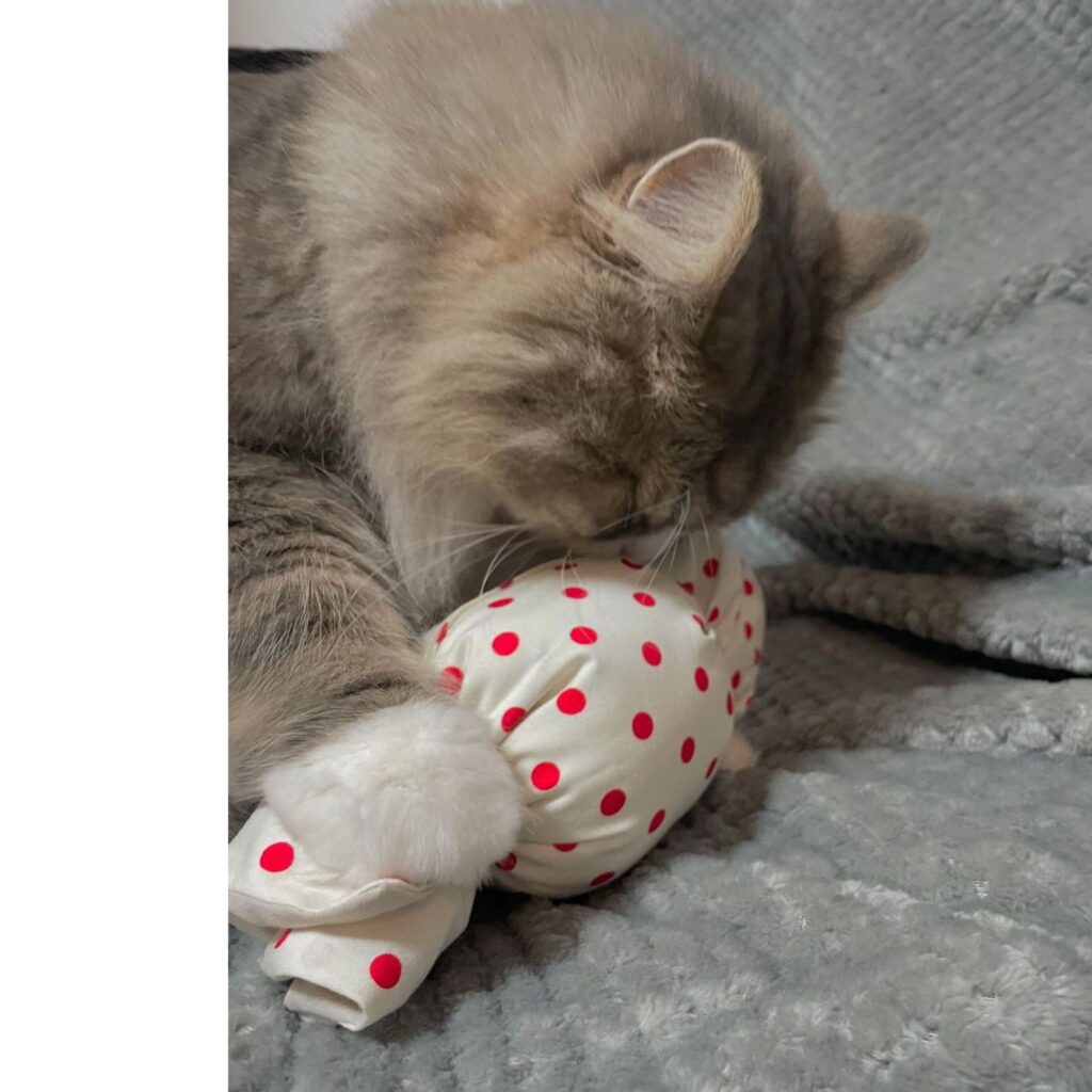 キャンディキッカー　猫のおもちゃ