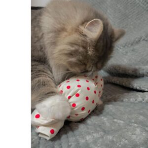 キャンディキッカー　猫のおもちゃ