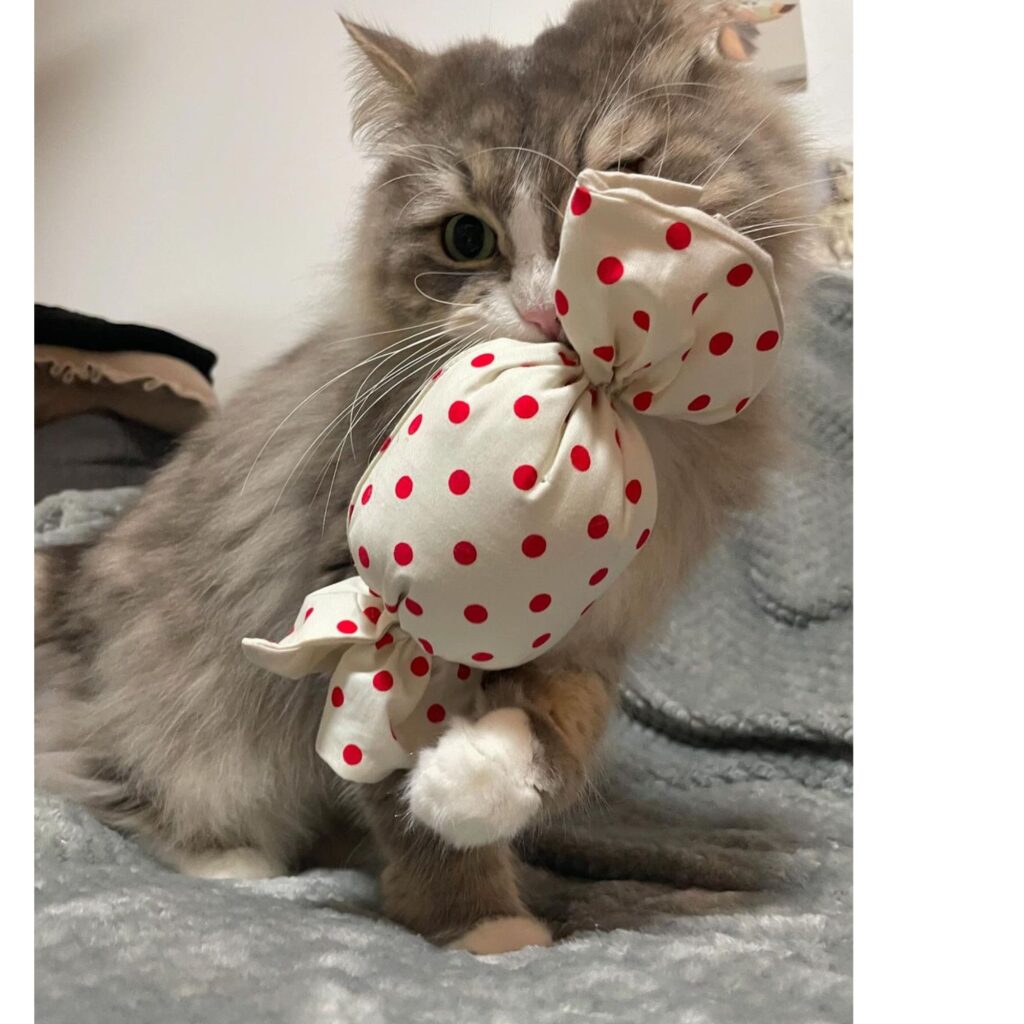 キャンディキッカー　猫のおもちゃ