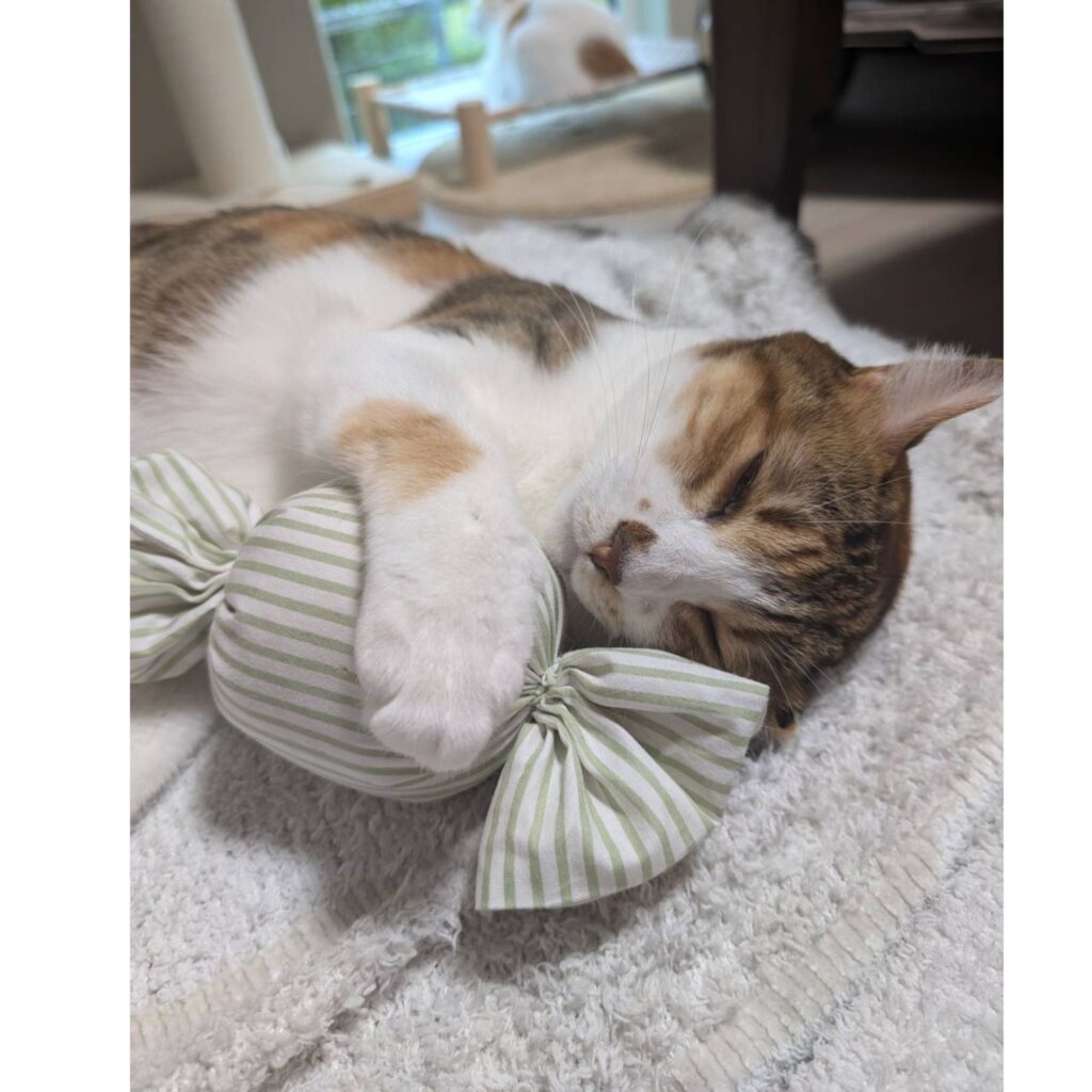 キャンディキッカー　猫のおもちゃ