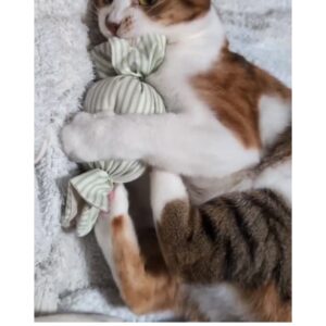 キャンディキッカー　猫のおもちゃ