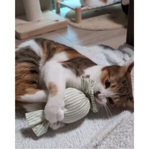 キャンディキッカー　猫のおもちゃ