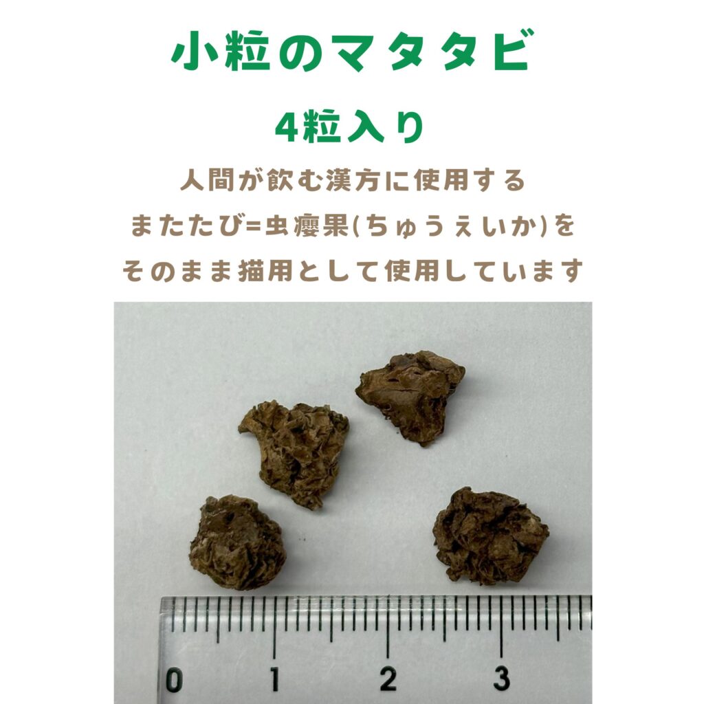 えび天キッカー　猫のおもちゃ