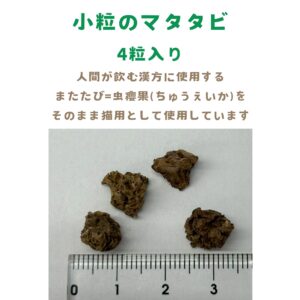 えび天キッカー　猫のおもちゃ