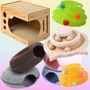 ひめじ猫友フェス