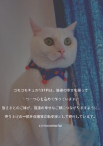 ひめじ猫友フェス
