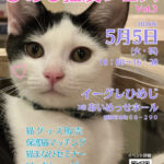 猫友フェスVol.3