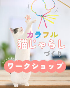 ひめじ猫友フェス