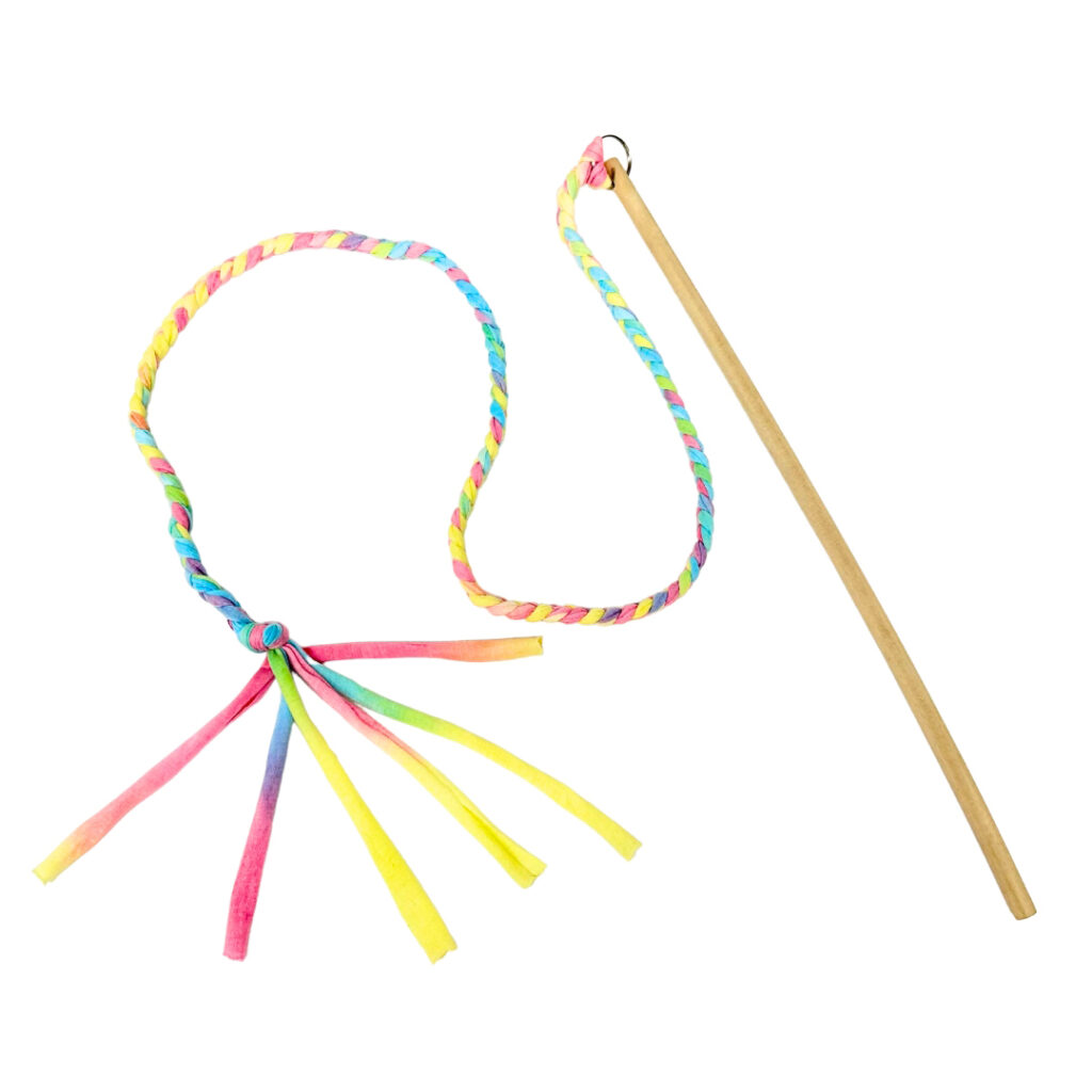 ひめじ猫友フェス