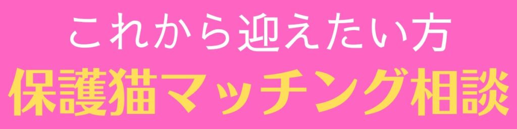 ひめじ猫友フェス