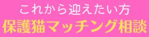 ひめじ猫友フェス