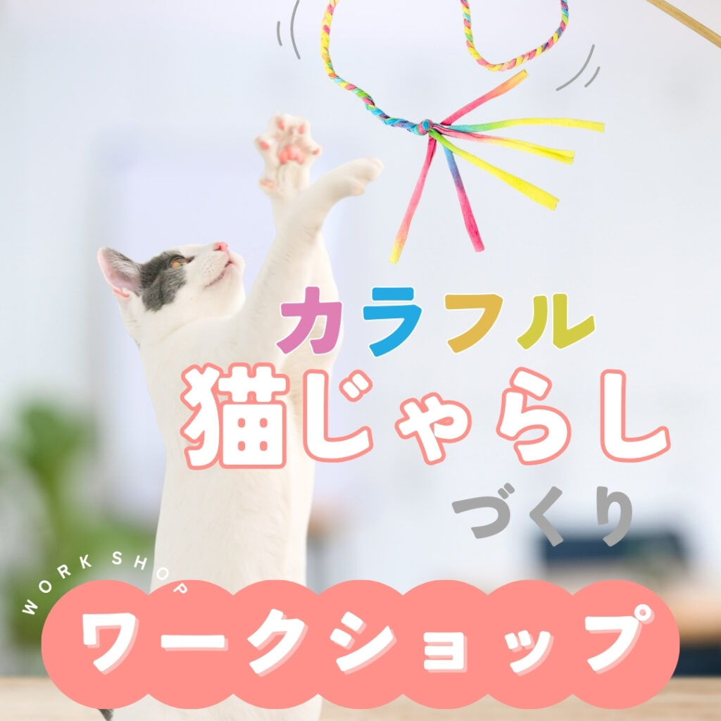 ひめじ猫友フェス